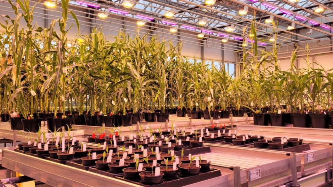 biotope incubator Greenhouses