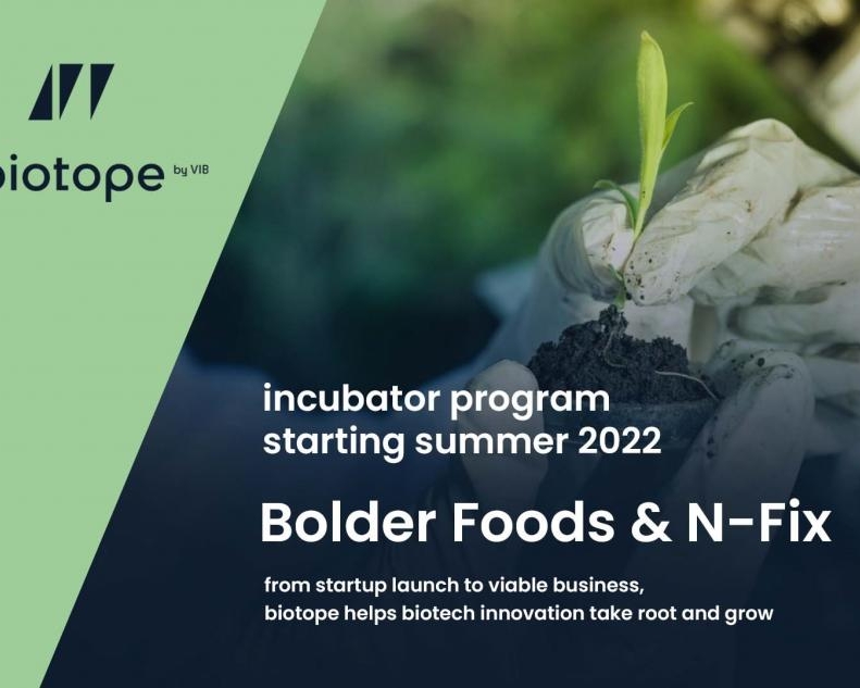 Startup biotope incubator program - summer