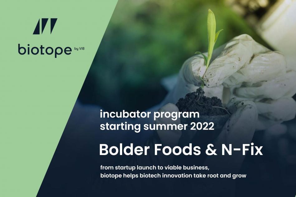 Startup biotope incubator program - summer