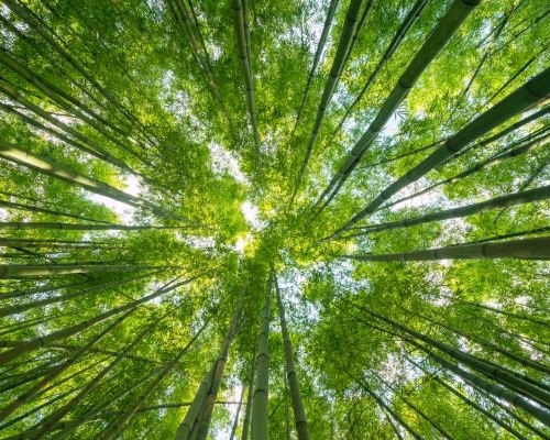 Biotope Ventures secures first close of second fund to back impact biotech founders cover