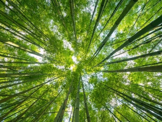 Biotope Ventures secures first close of second fund to back impact biotech founders cover